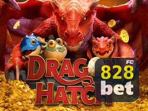 828BET PIX instantâneo Brasil - Depósito e saque em minutos 24/7